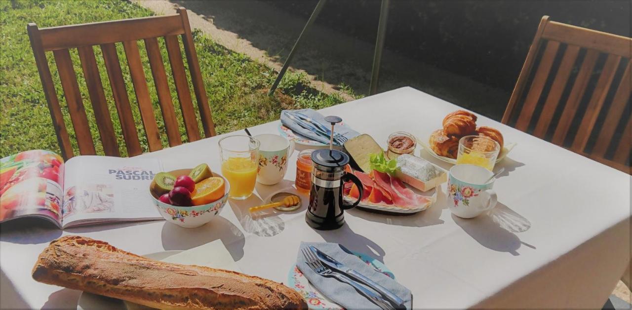 Fleurs De Cosmos Bed & Breakfast Albi Exterior photo